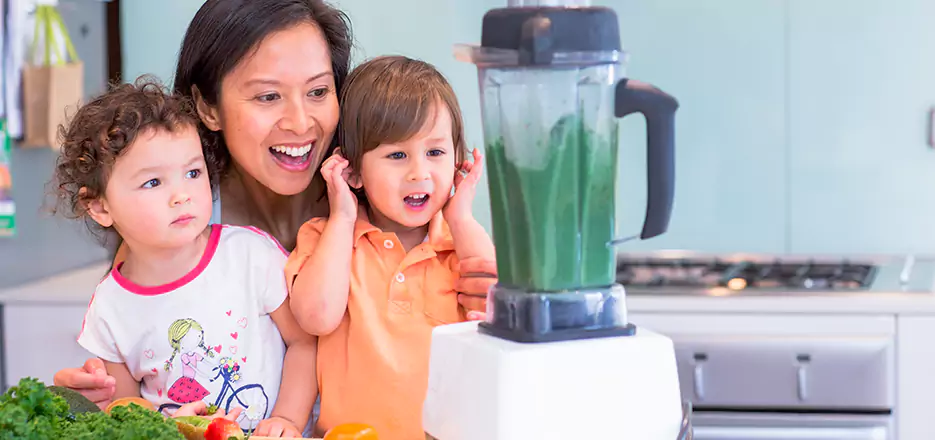 Juicer and Mixer Blender Repair in Sanford 